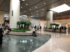 -香港ELEMENTS圆方