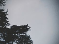-钟山体育运动公园
