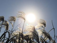 -长兴太湖图影湿地文化园