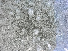-前关湿地公园
