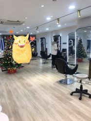 -新晨·SALON·形象造型