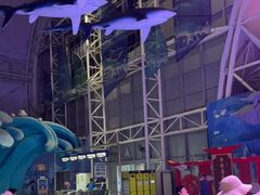 -烟台海昌鲸鲨海洋公园