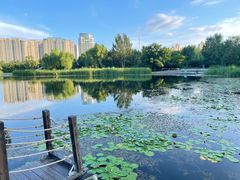 -群力丁香公园