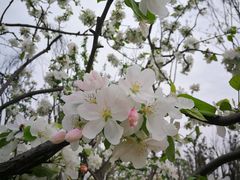 -白鹭湾湿地公园