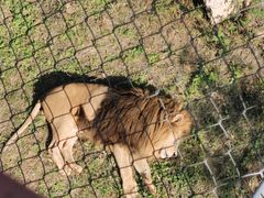 -石家庄市动物园