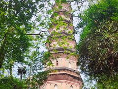 -惠州西湖风景名胜区-泗洲塔