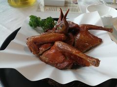 红烧乳鸽-光明招待所(邦凯科技园店)