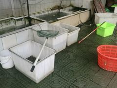 -苏记溪河鲢鱼庄(天府新区店)