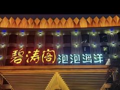 -碧涛阁•泡泡海洋(王府花园店)