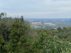 -阳台山自然风景区