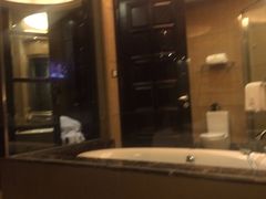 星河湾酒店(浦东店)-上海浦东星河湾酒店