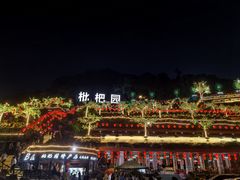 -枇杷园食为鲜火锅(南山店)