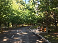 -长白岛森林公园