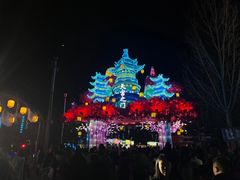 -淄博花灯齐彩城