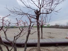 -东郊湿地公园