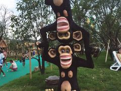 -苏州乐园森林水世界