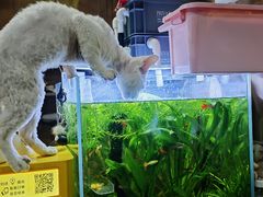 -藦茜花园宠物主题亲子互动体验馆(国顺东路店)
