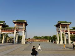 -王借岗森林公园