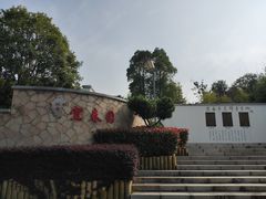-武汉园博园(武汉自然博物馆)
