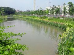 -长洲岛