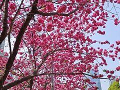 -芸南道·过桥米线(昆明老街旗舰店)