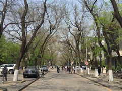 -北大学一食堂