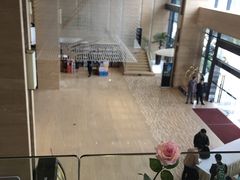 -碧桂园空港凤凰酒店(广州新白云机场店)