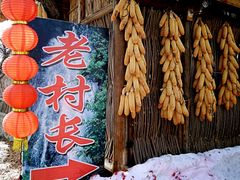 -老村长农家院