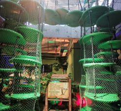 -恐龙探索乐园(磁器口店)