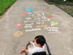 -菊园百果园