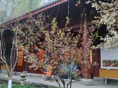 -灵顺寺