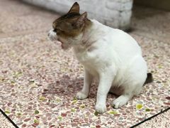 -官塘牛同志牛肉火锅
