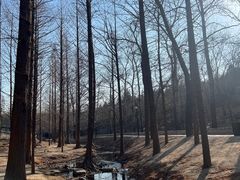 -白水寺森林公园