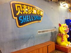 -贝壳梦幻世界