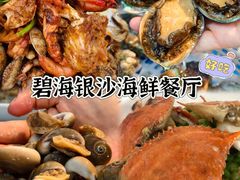 -碧海银沙海鲜餐厅(恒大海上威尼斯店)