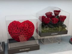 -ROSEONLY诺誓(广州K11店)