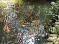 -成都杜甫草堂博物馆