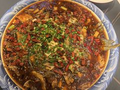 -新概念来凤鱼(璧山店)