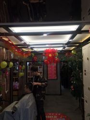 -东晨宝格丽品质造型