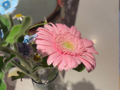 -半秋山西餐厅(巴南万达广场店)