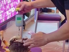 -粤珍轩.创始店.始于2001(含光门店)