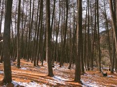 -硗碛藏寨·神木垒景区