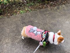 -崇阳三特浪口温泉