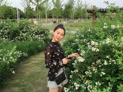 -九里河湿地公园