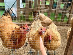 -HERRE·FARM 赫尔露营农场·团建聚会包场