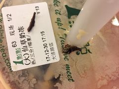 -1点点(大连路店)