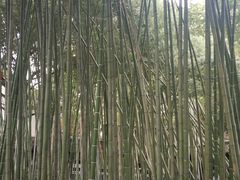 -焦山景区-万佛塔