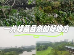 -深圳隐秀山居酒店