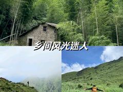 -狐尾山公园