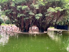 -九龙公园